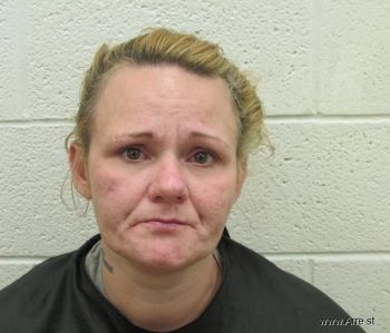 Amanda Elizabeth Rice Mugshot