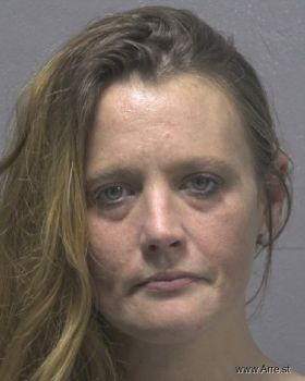 Amanda Elizabeth Seitter Mugshot