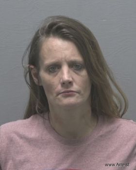 Amanda Elizabeth Seitter Mugshot