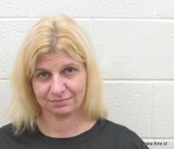 Amanda Lee Shelton Mugshot