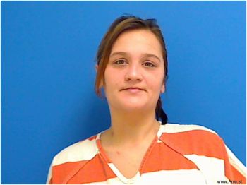 Amber Dawn Akins Mugshot