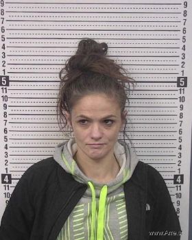 Amber Nichole Campbell Mugshot