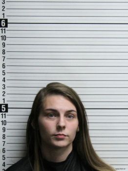 Amber Leann Cook Mugshot