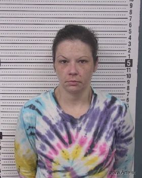 Amber Dawn Harris Mugshot