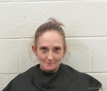 Amber Nichole Ray Mugshot