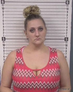 Amberlee Lynn Ingram Mugshot