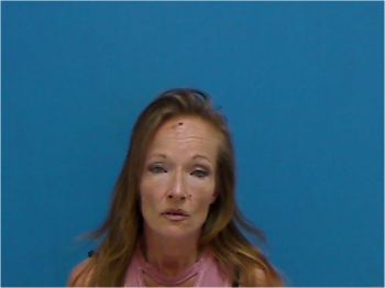 Amy Hamm Watson Mugshot