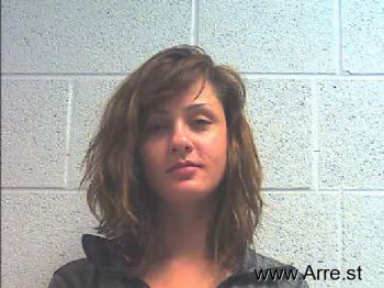 Amy Lynn Weidenfeller Mugshot