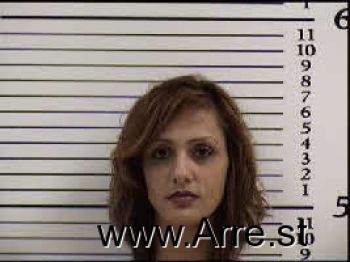 Amy Lynn Weidenfeller Mugshot