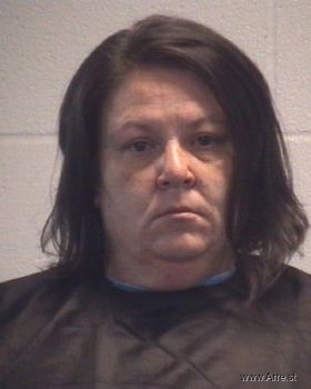 Amy Nicole Wilson Mugshot