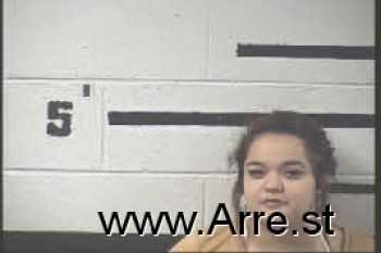 Andrea Elizabeth Dominguez Mugshot