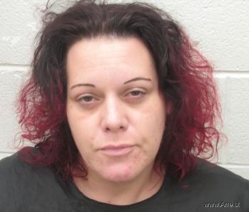 Andrea Christine Hodge Mugshot