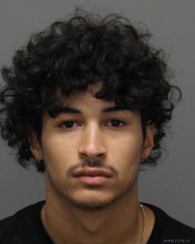 Andrew  Morales Mugshot