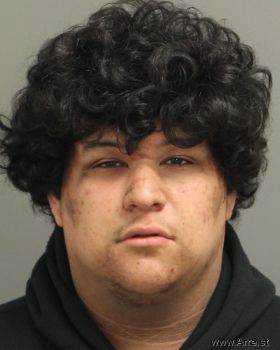 Andy Ulysses Rodriguez Mugshot