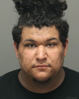 Andy Ulysses Rodriguez Mugshot