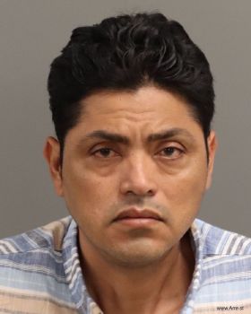 Angel Alfonso Zamora-velez Mugshot