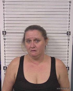 Angela Ann Austin Mugshot