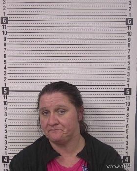 Angela Ann Austin Mugshot