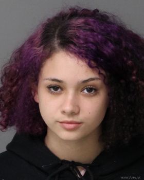 Angelina Jolee Perez Mugshot