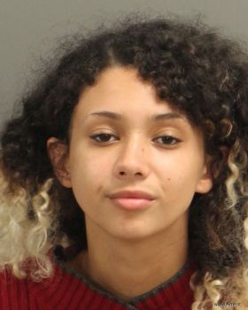 Angelina Jolee Perez Mugshot