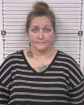 Anna Michelle Main Mugshot