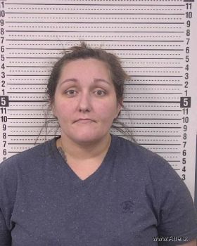 Anna Michelle Main Mugshot