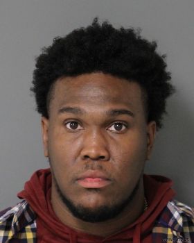 Anthony Lamarr Jr Nelson Mugshot