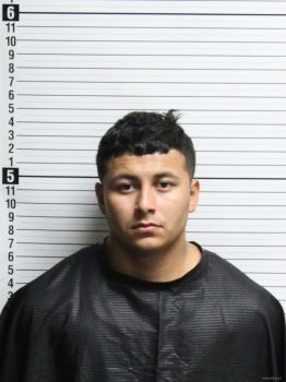 Anthony  Moreno Mugshot