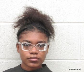 Arianna Danielle Williams Mugshot