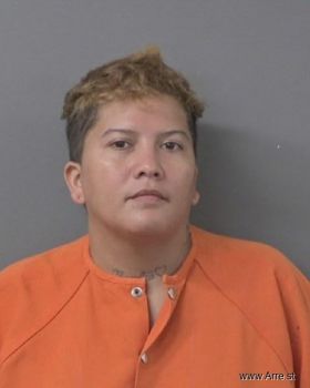 Ariannys  Perozo-gonzalez Mugshot