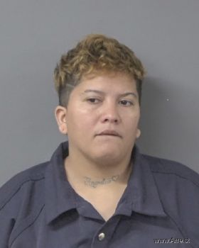 Ariannys  Perozo-gonzalez Mugshot