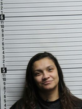 Ariel Marie Rodriguez Mugshot