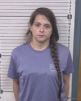 Ashley Renee Bradshaw Mugshot