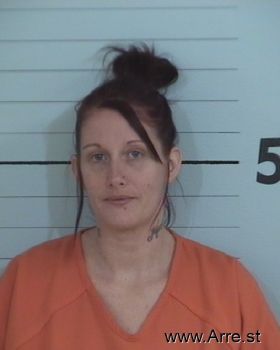 Ashley Elizabeth Collins Mugshot