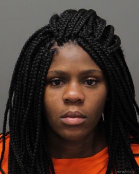 Ashley Danielle Wright Mugshot