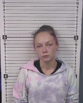 Ashley Nichole Ellison Mugshot