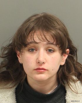 Ashley Michelle Gibson Mugshot