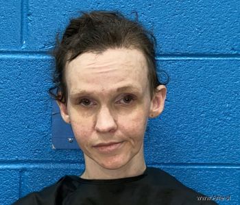 Ashley Renee Grant Mugshot