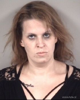 Ashley Lauren Lee Mugshot