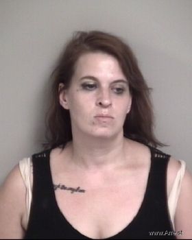 Ashley Lauren Lee Mugshot