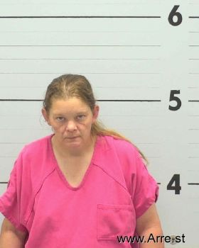 Ashley Michelle Maynor Mugshot