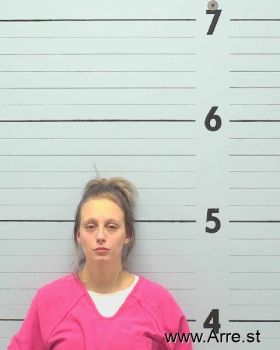 Ashley Dawn Palmer Mugshot