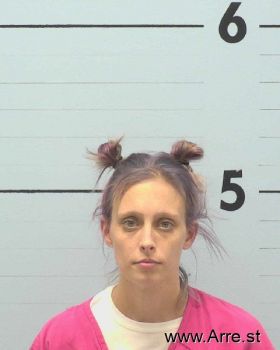 Ashley Dawn Palmer Mugshot