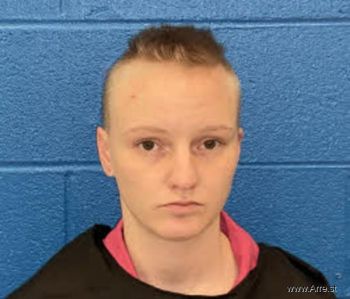 Ashley Brooke Smith Mugshot