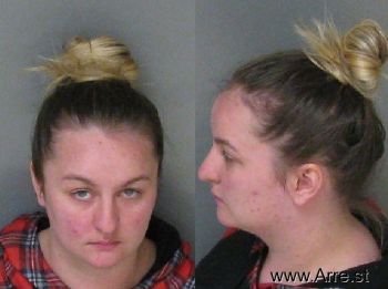 Ashley Leigh Brooke Willis Mugshot