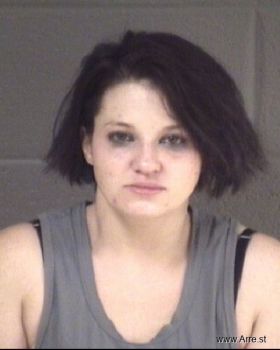 Ashley Nicole Wilson Mugshot