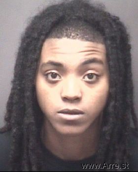 Ashley Nicole Wilson Mugshot