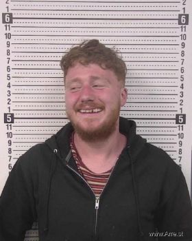 Austin James Barnes Mugshot