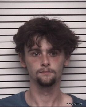 Austin Ray Harmon Mugshot