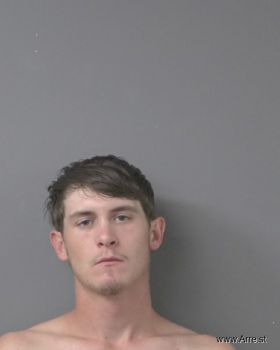 Austin Chase Langley Mugshot